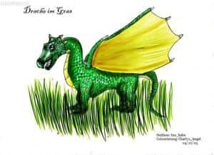 Drache im Gras