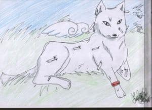 Me-chans B-day Büldi!