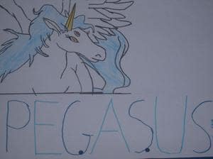 Pegasus