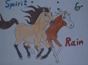 Spirit der wilde Mustang