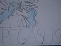 Pegasus