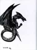 Schwarzer Drache