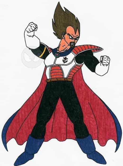 The King Of The Planet Vegeta
