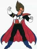 The King Of The Planet Vegeta