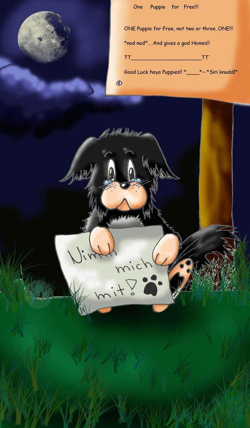 Padfoot is coming (vllt. auch in euer Home ^__^')