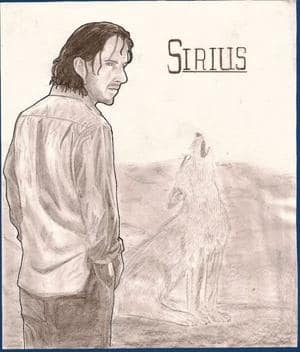 Sirius -oder wie man Ralph Fiennes verunstaltet....