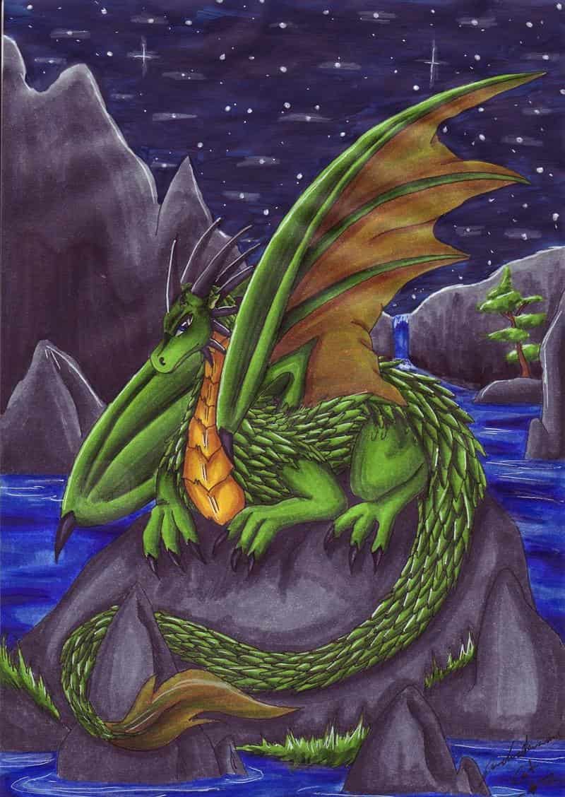 Drache