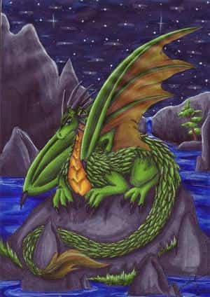 Drache