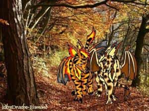 Meine Drachen Charas!!!