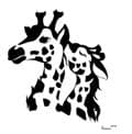 Giraffenliebe