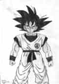 Son-GokuI