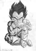 VegetaII