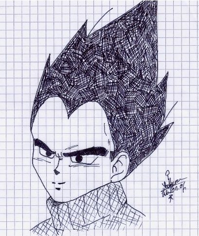 Vegeta im rolli- ohne colo