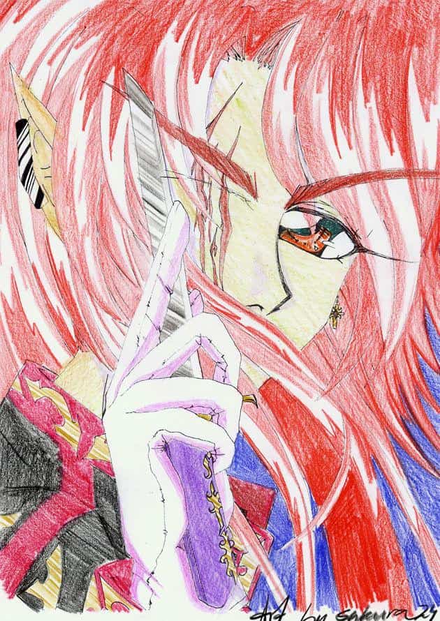 The Order to fight with a Vampire