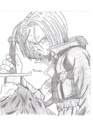 Trunks