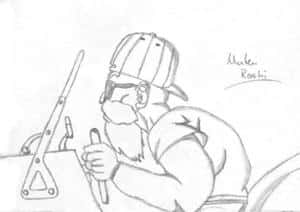 Muten Roshi mit Auto II