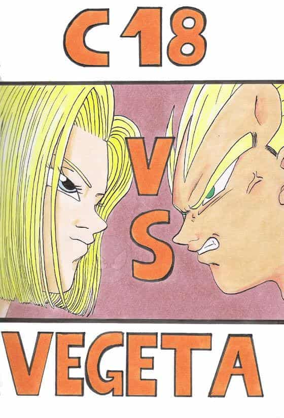 C18 VS Vegeta