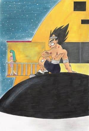 Die Schöne und der Stolze