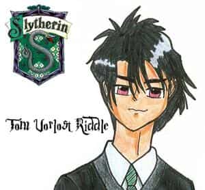 Tom Riddle (Schulzeit)