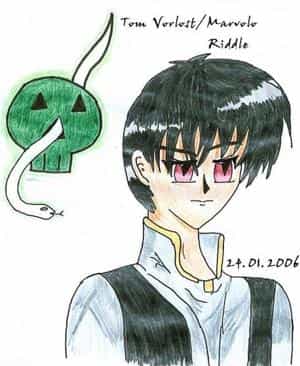 Tom Riddle (nach der Seelentrennung)