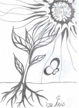 so zart und doch so stark