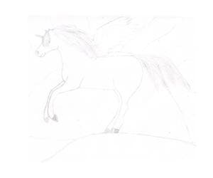 Pegasus im Sonnenuntergang