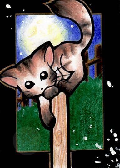 Little kitten---KAKAO