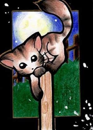 Little kitten---KAKAO