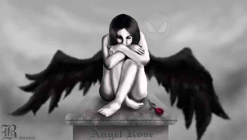 Angel Rose