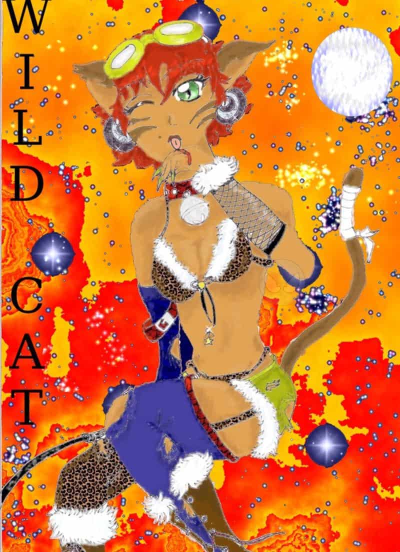 Wild Cat