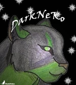 darkneko avatar