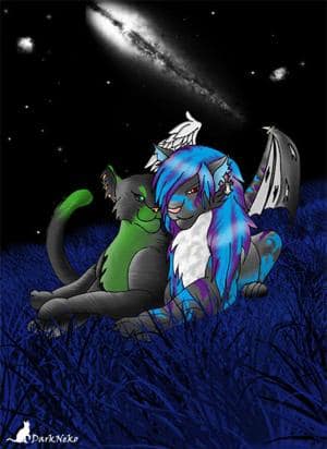 wb bild für noin.al