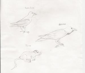 tierstudie aus langerweile un übungswillen!?
