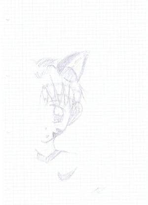 Unfertiges Füchslein