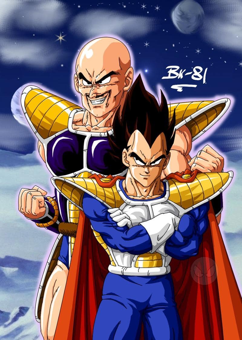 Vegeta und Nappa