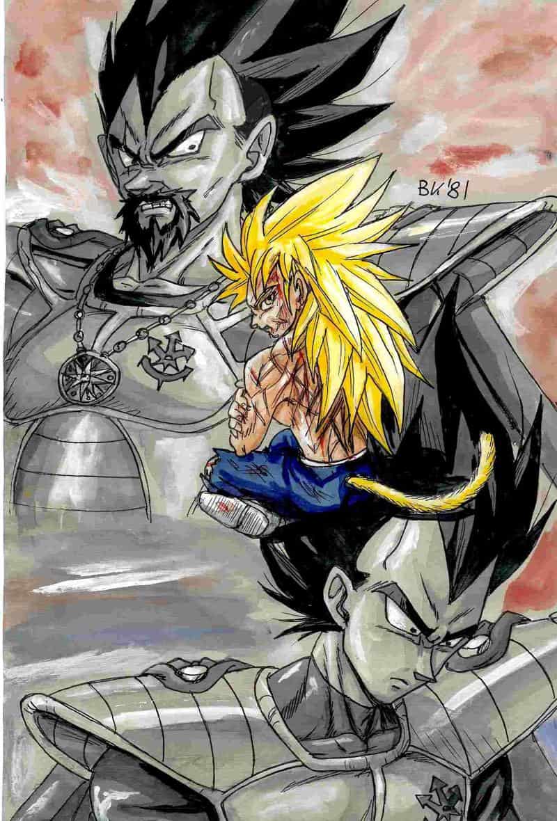 zwischen den Fronten