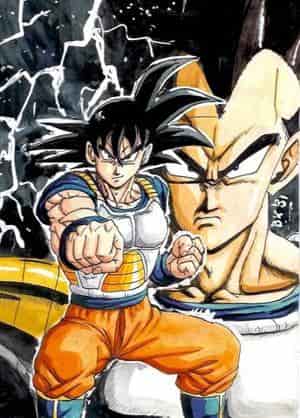 DB SF: Vegeta und Kakaroth