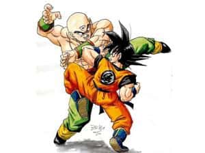 Goku gegen Tenshinhan