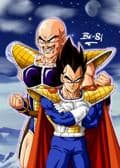 Vegeta und Nappa