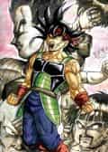 Bardock and crew col