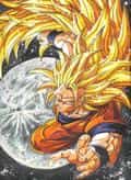Goku SSj3