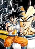 DB SF: Vegeta und Kakaroth