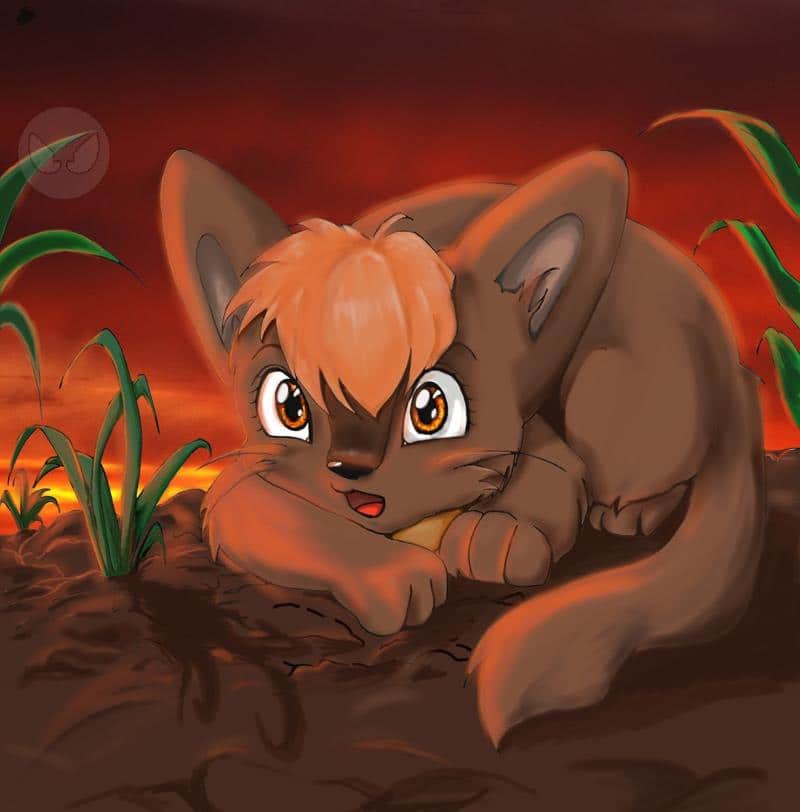 Der kleine Bibelfuchs^^