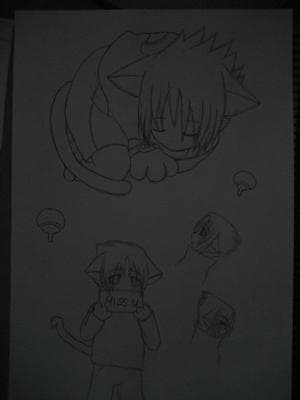 Neko Sasuke - Skizzen