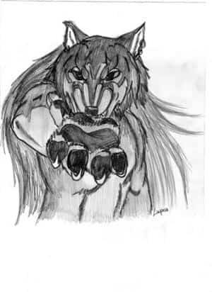 Wolfsblut (und noch ein versuch eines wolfes ^^)