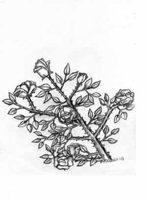 Mein erster Rosenversuch <_<