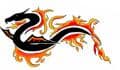 ~Dragon~