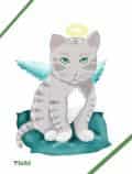 Catangel