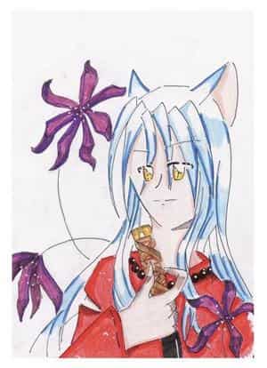 Mein erster Inu Yasha