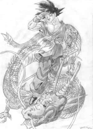 Son-Goku u. Shenlong